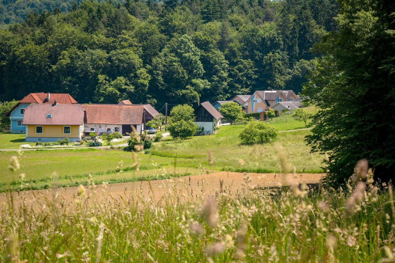 Lackenbauer Apartman Muggenau Kültér fotó